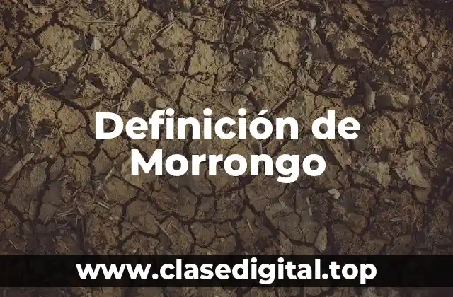 Definición de Morrongo