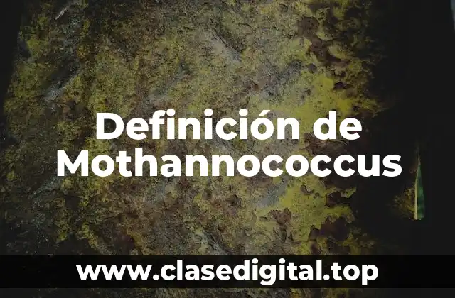Definición de Mothannococcus