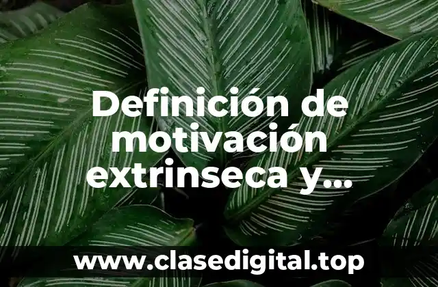 Definición de motivación extrinseca y intrinseca