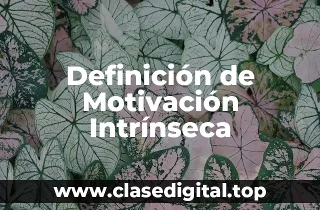 Definición de Motivación Intrínseca