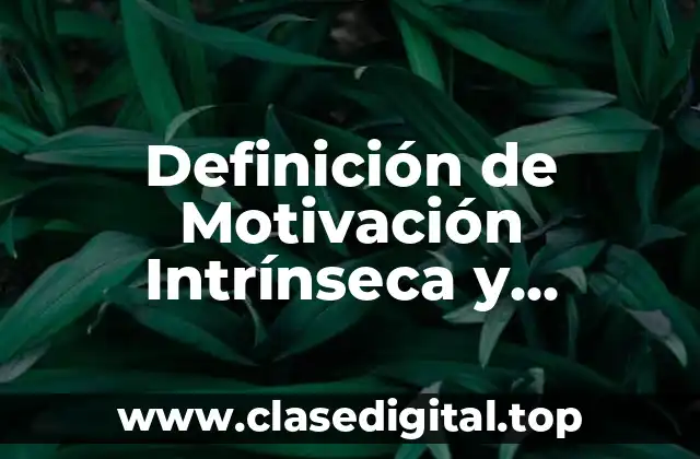 Definición de Motivación Intrínseca y Extranseca