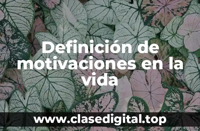 Definición de motivaciones en la vida