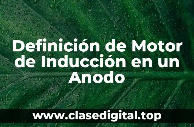 Definición de Motor de Inducción en un Anodo