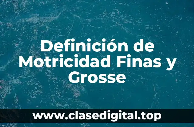 Definición de Motricidad Finas y Grosse