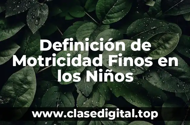 Definición de Motricidad Finos en los Niños