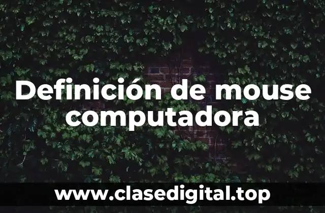 Definición técnica de mouse computadora