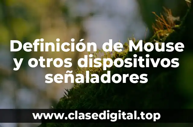 Definición de Mouse y otros dispositivos señaladores
