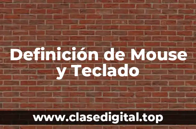 Definición de Mouse y Teclado
