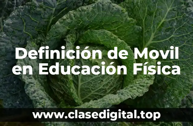Definición de Movil en Educación Física