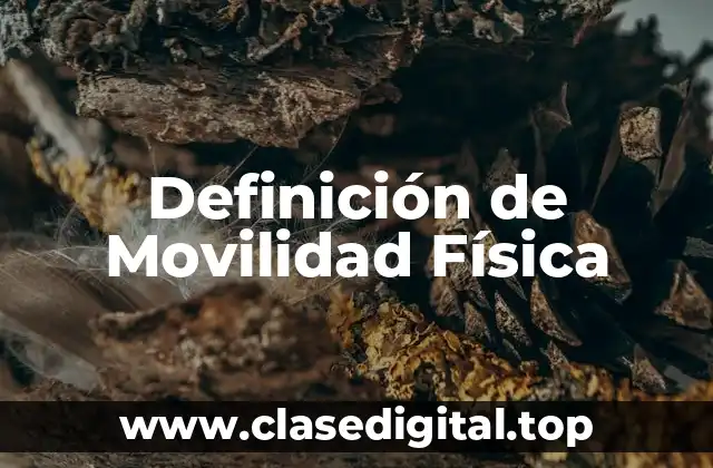 Definición de Movilidad Física
