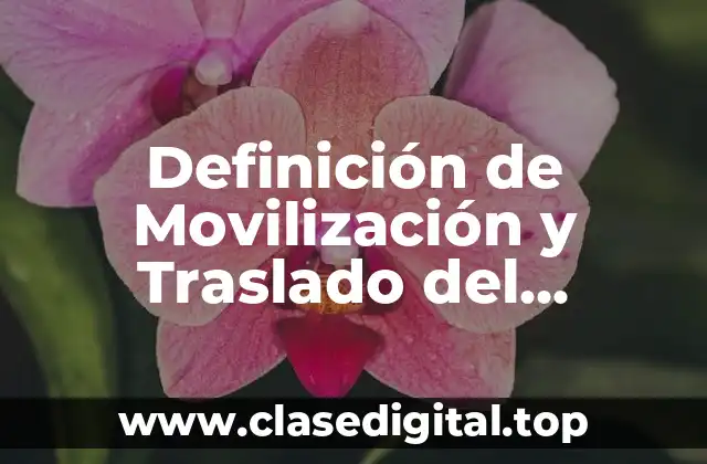 Definición de Movilización y Traslado del Paciente