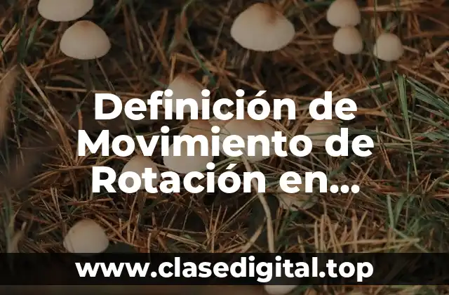 Definición de Movimiento de Rotación en Anatomía