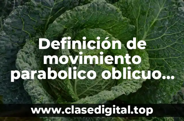Definición de movimiento parabolico oblicuo en física