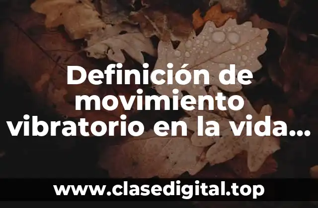 Definición de movimiento vibratorio en la vida cotidiana