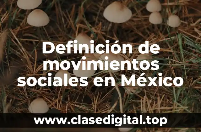 Definición de movimientos sociales en México