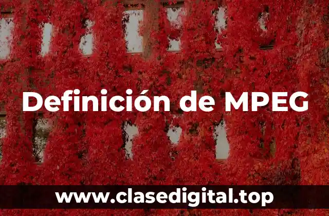 Definición de MPEG