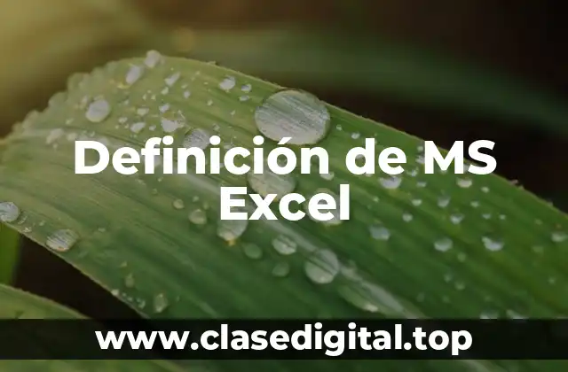 Definición de MS Excel