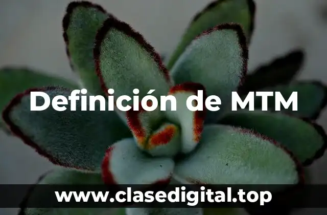 Definición de MTM