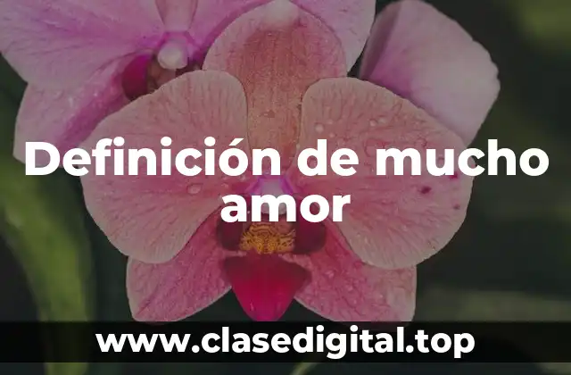 Definición de mucho amor
