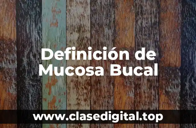 Definición de Mucosa Bucal