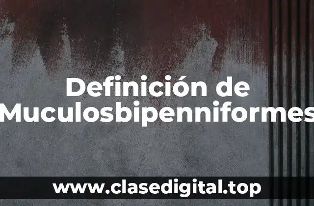 Ejemplos de Muculosbipenniformes