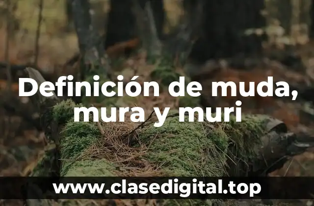 Definición de muda, mura y muri