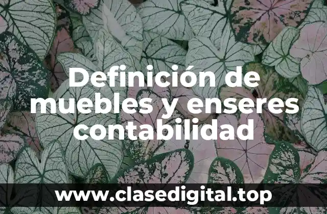 Definición de muebles y enseres contabilidad