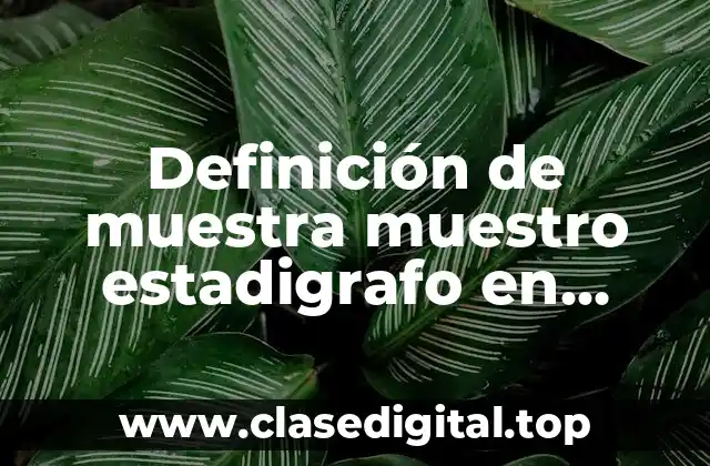 Definición de muestra muestro estadigrafo en estadística