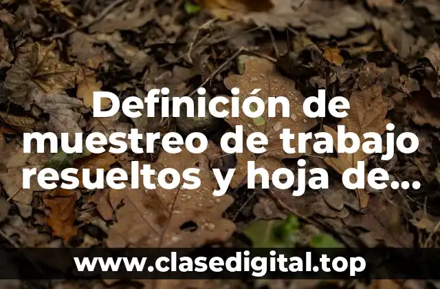 Definición de muestreo de trabajo resueltos y hoja de observación