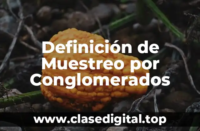 Definición de Muestreo por Conglomerados