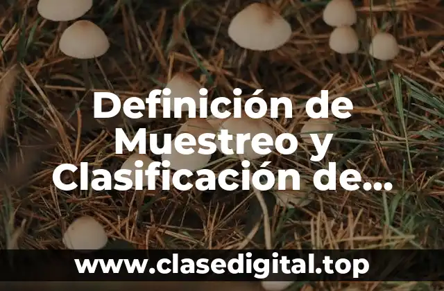 Definición Técnica de Muestreo