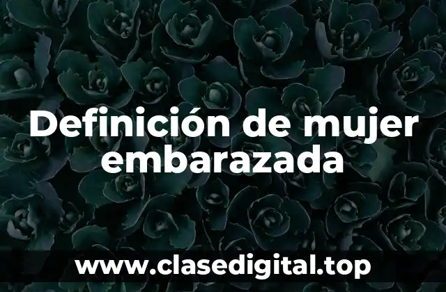 Definición de mujer embarazada