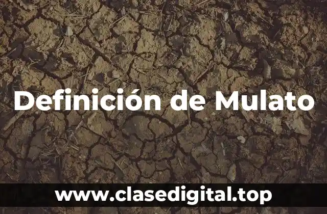 Definición de Mulato