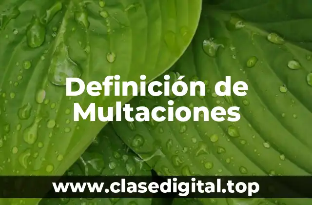 Definición de Multaciones