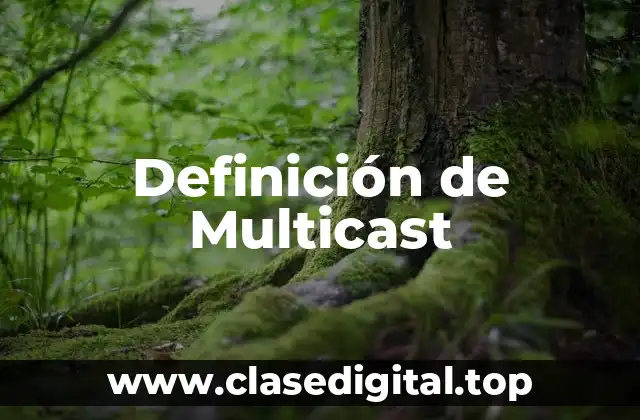 Definición de Multicast
