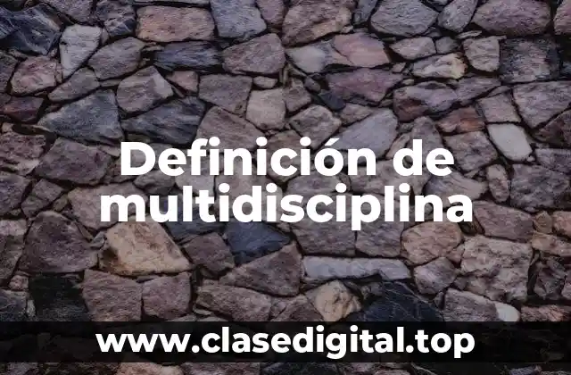 Definición de multidisciplina