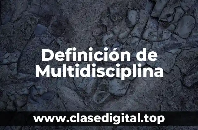 Definición técnica de multidisciplinaridad