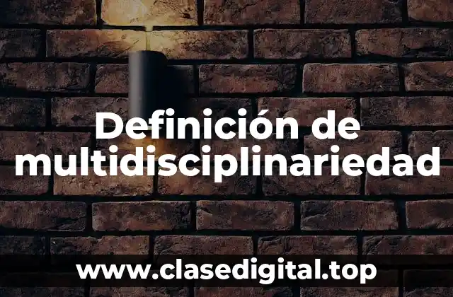 Definición de multidisciplinariedad