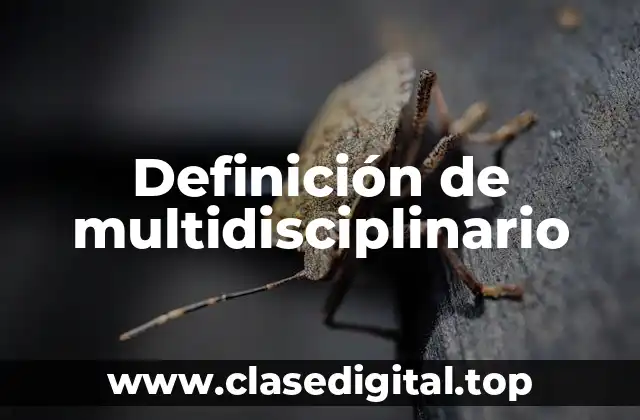 Definición de multidisciplinario