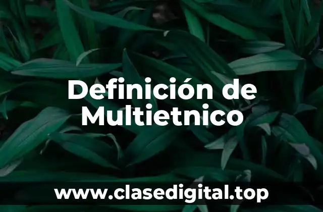 Definición técnica de multietnico