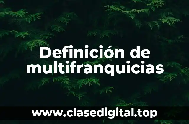 Definición de multifranquicias