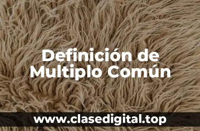 Definición técnica de Multiplo Común
