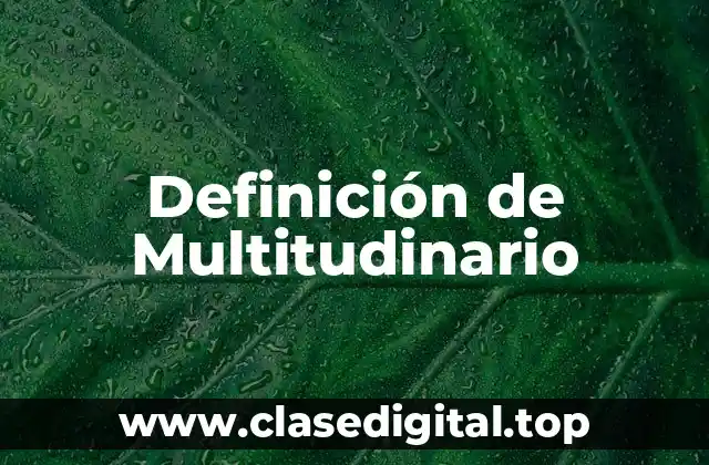 Definición de Multitudinario