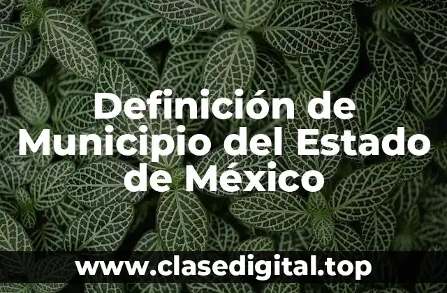 Definición de Municipio del Estado de México