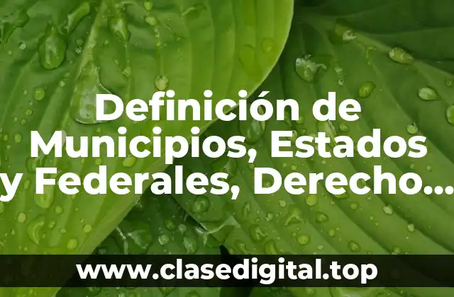 Definición de Municipios, Estados y Federales, Derecho Fiscal