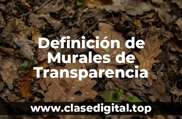 Definición de Murales de Transparencia