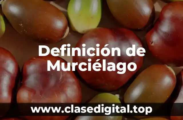 Definición de Murciélago