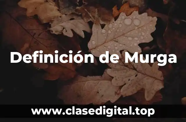 Definición de Murga