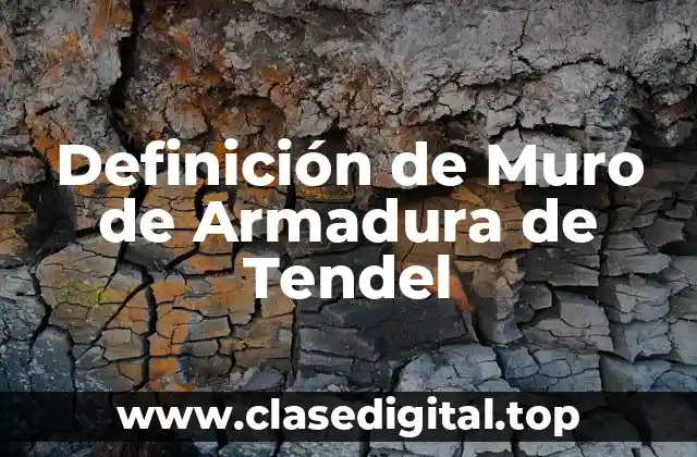 Definición Técnica de Muro de Armadura de Tendel