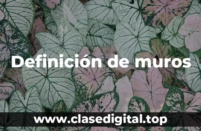 Definición de muros